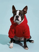 Dog Pattern, XXS-5XL, Dog Hoodie Sewing Pattern, PDF Sewing Pattern Pet, Pattern Dog, Instant Download, Pet Pattern, Sewing pattern for dog